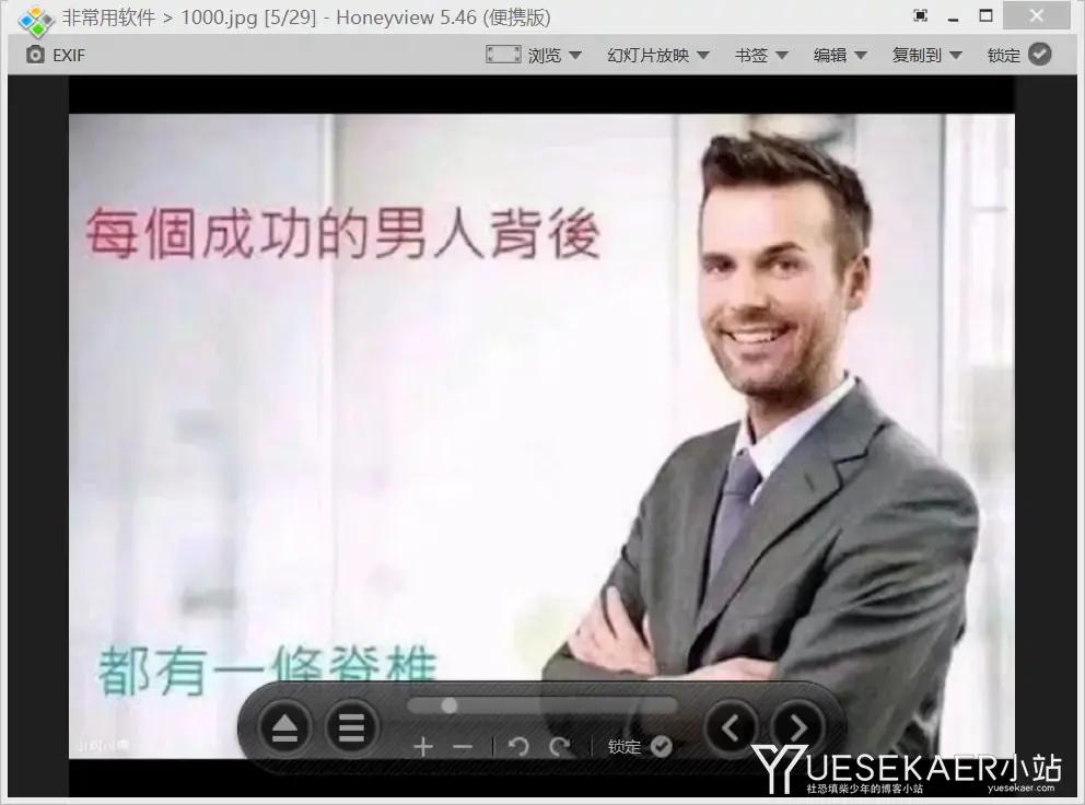 看图软件 蜂蜜浏览器（Honeyview）v5.53 官方便携版插图